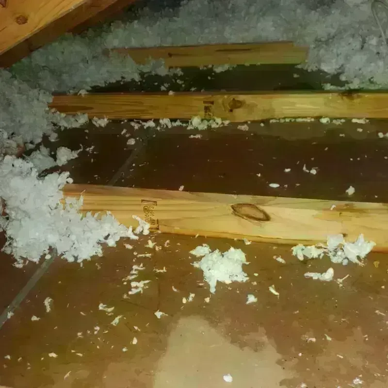 Attic Water Damage in Sweetwater County, WY