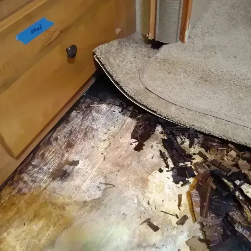 Wood Floor Water Damage in Sweetwater County, WY